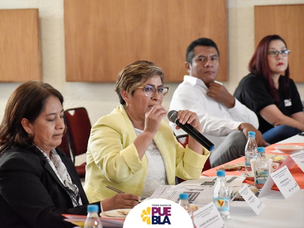 Presenta SIPINNA Puebla acciones en materia de prevención del trabajo infantil