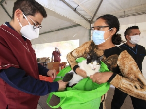 Realiza SEDIF Jornada de Esterilización de Mascotas en La Libertad