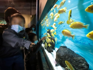 Disfrutan niñas y niños a resguardo del SEDIF del Acuario Michin