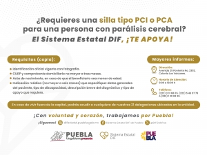 Anuncia SEDIF entrega gratuita de sillas para personas con parálisis cerebral